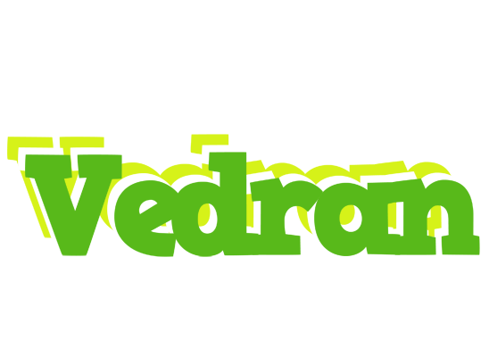 Vedran picnic logo