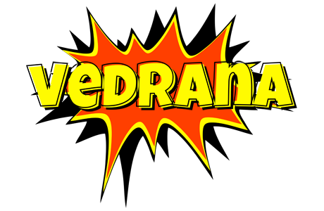 Vedrana bazinga logo
