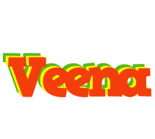 Veena bbq logo