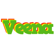 Veena crocodile logo