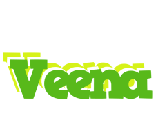 Veena picnic logo