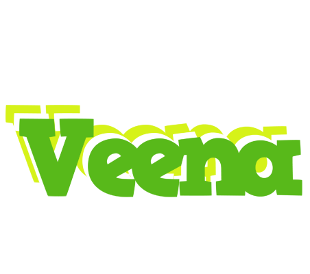 Veena picnic logo