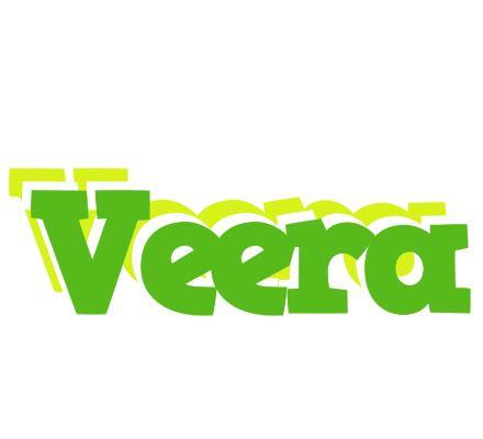 Veera picnic logo