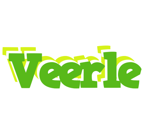 Veerle picnic logo