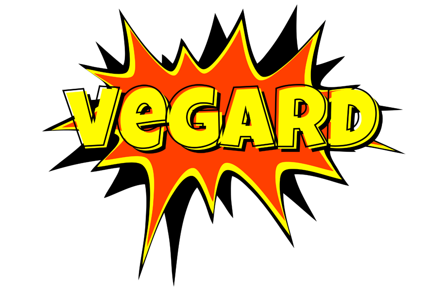 Vegard bazinga logo