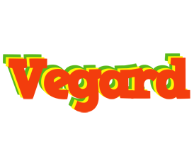 Vegard bbq logo