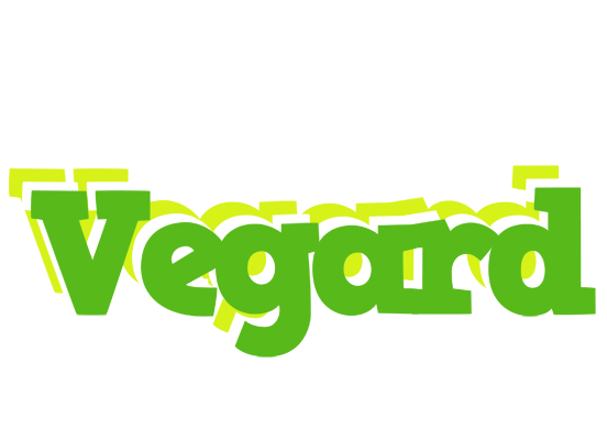 Vegard picnic logo