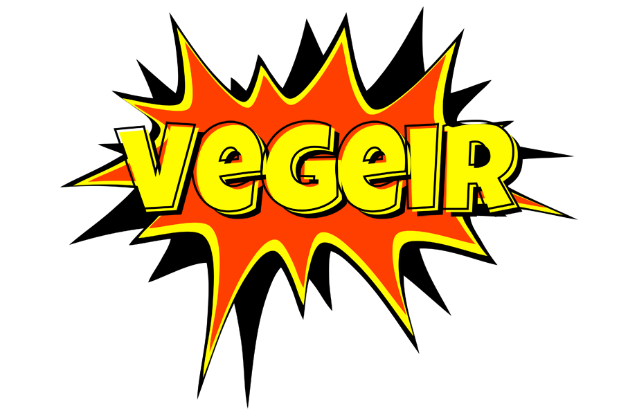 Vegeir bazinga logo