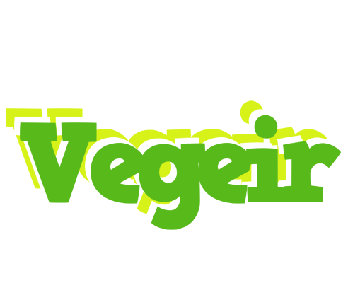 Vegeir picnic logo