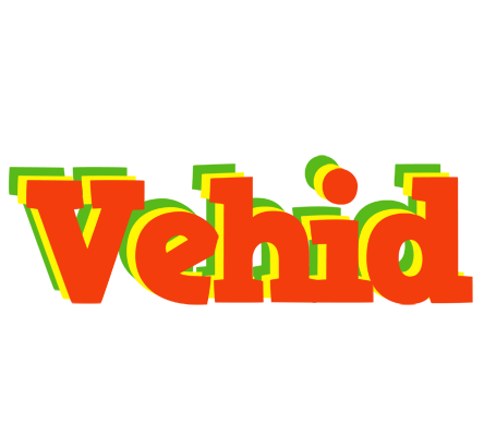 Vehid bbq logo