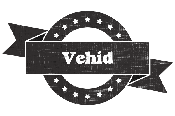 Vehid grunge logo