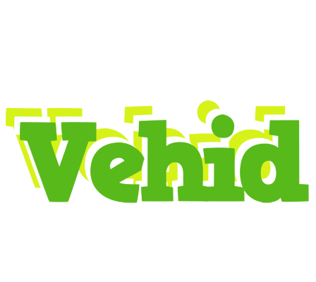 Vehid picnic logo