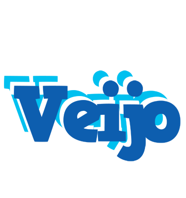 Veijo business logo