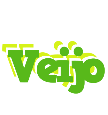 Veijo picnic logo