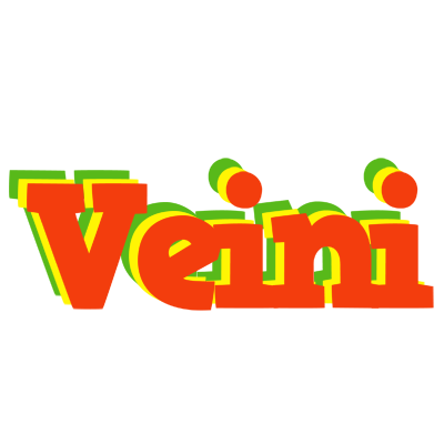 Veini bbq logo