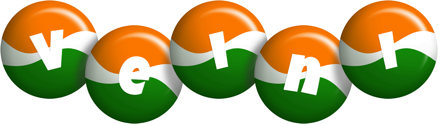 Veini india logo