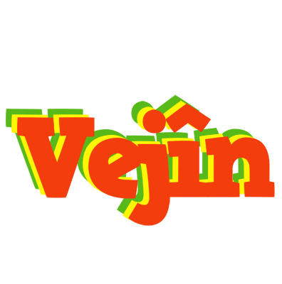 Vejîn bbq logo