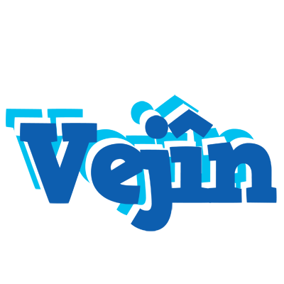 Vejîn business logo