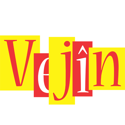 Vejîn errors logo
