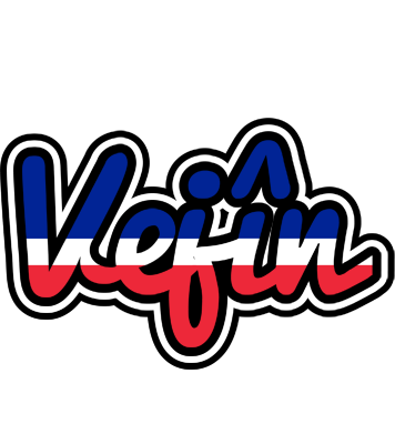Vejîn france logo