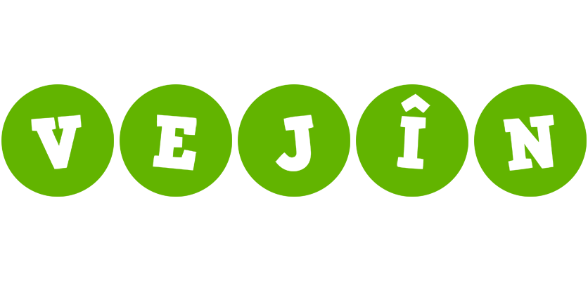 Vejîn games logo