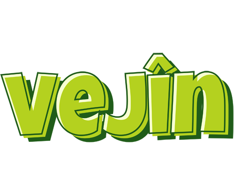 Vejîn summer logo