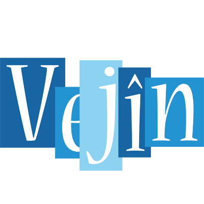Vejîn winter logo