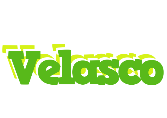 Velasco picnic logo