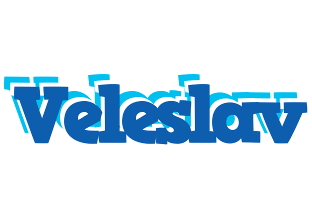 Veleslav business logo