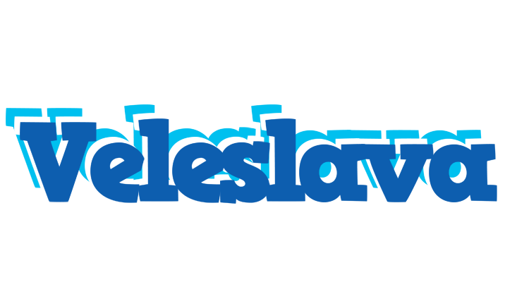 Veleslava business logo