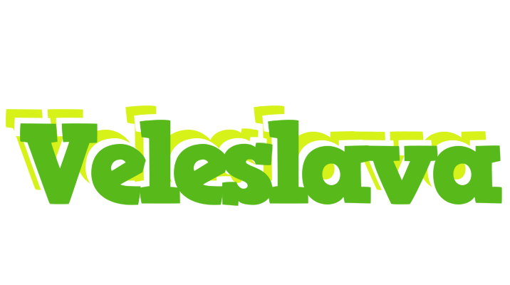 Veleslava picnic logo