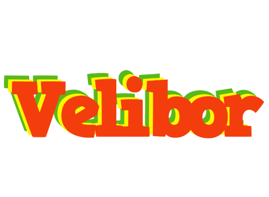 Velibor bbq logo