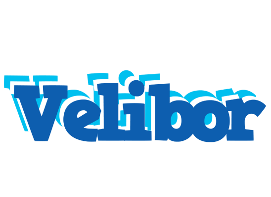 Velibor business logo