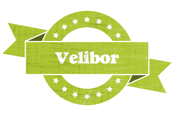 Velibor change logo
