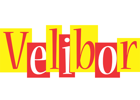 Velibor errors logo