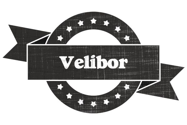 Velibor grunge logo