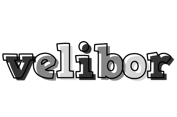 Velibor night logo