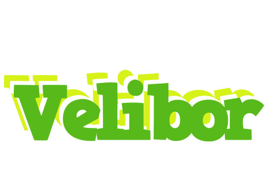 Velibor picnic logo