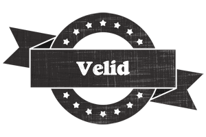 Velid grunge logo