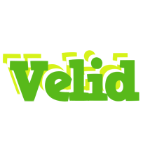 Velid picnic logo