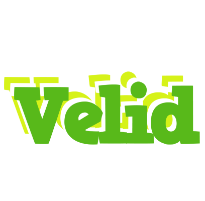 Velid picnic logo