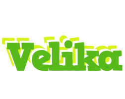 Velika picnic logo