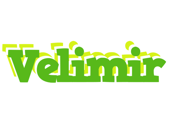 Velimir picnic logo