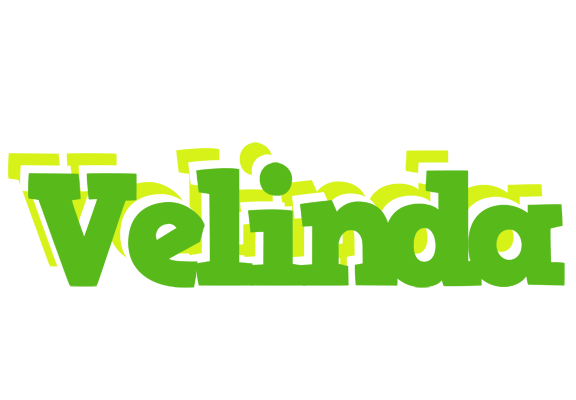 Velinda picnic logo