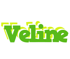 Veline picnic logo