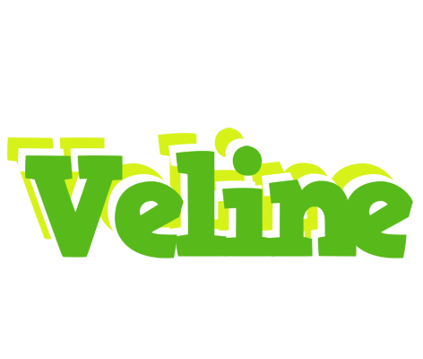 Veline picnic logo