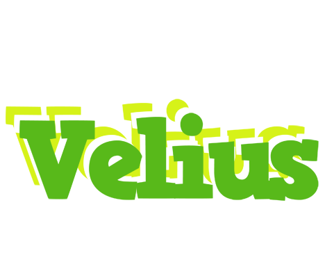 Velius picnic logo