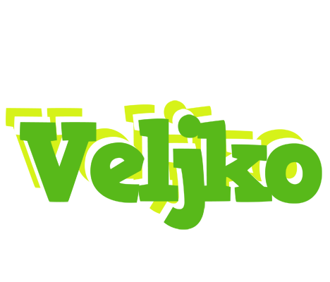 Veljko picnic logo