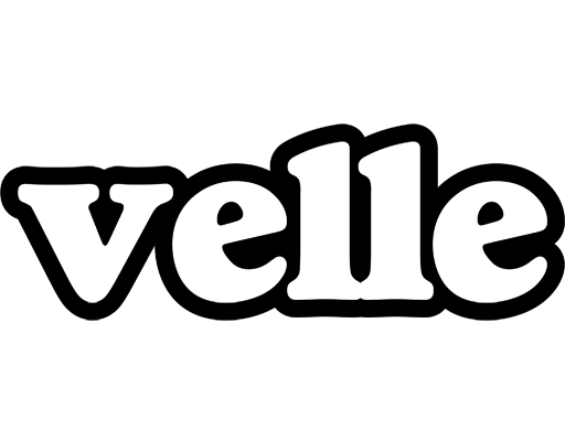 Velle panda logo