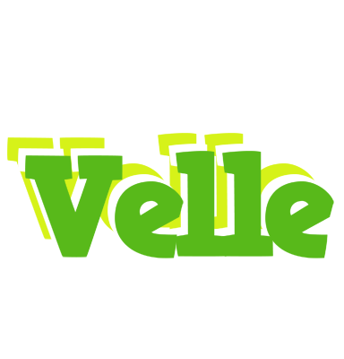Velle picnic logo